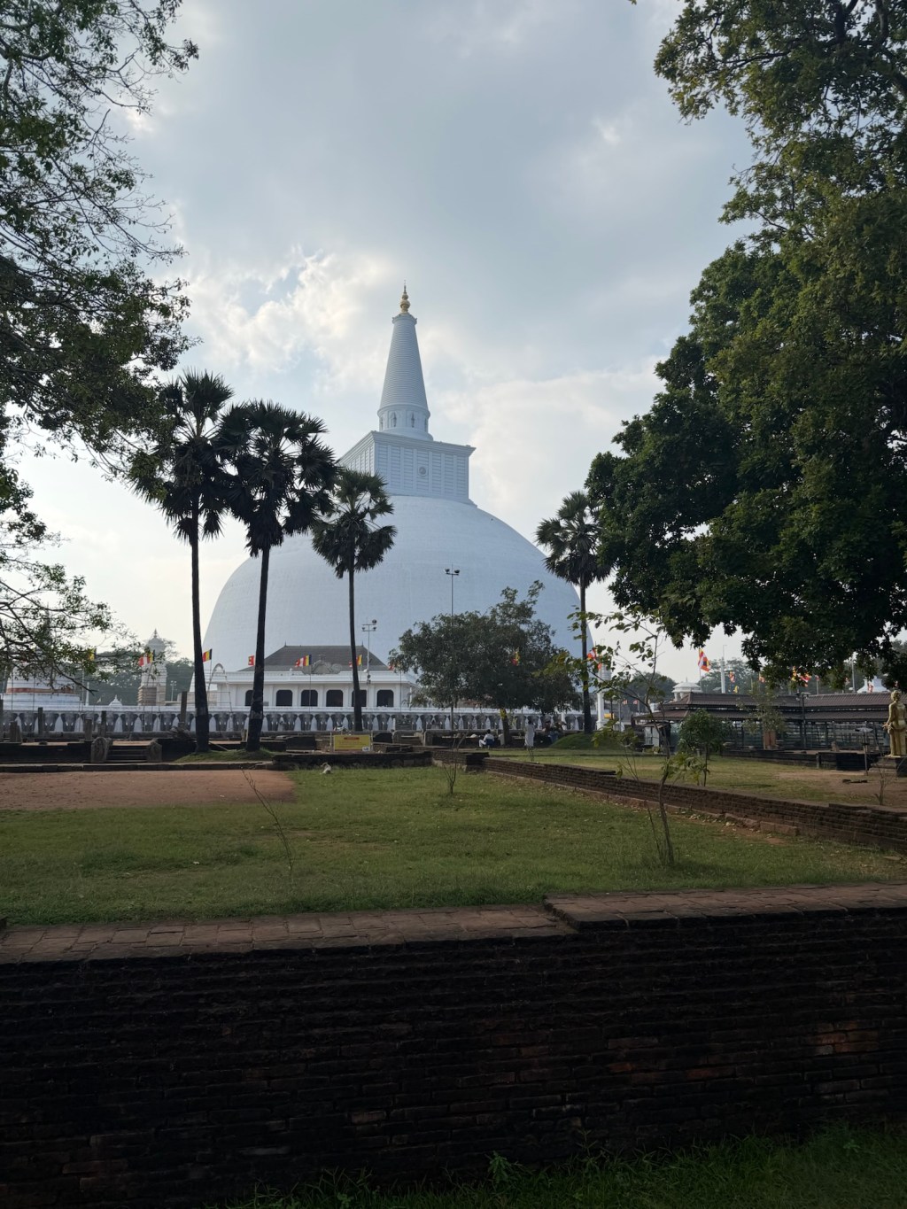Ten Days in Silence: A Vipassana Experience in Sri Lanka
